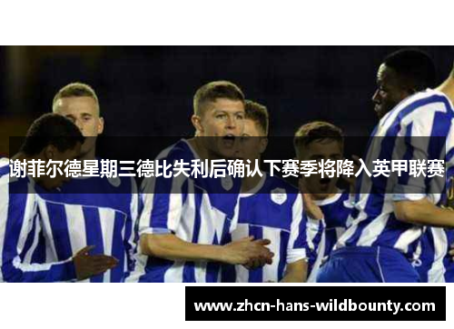 谢菲尔德星期三德比失利后确认下赛季将降入英甲联赛